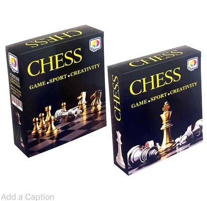 شطرنج جعبه ای بردیا 98003 - ک48